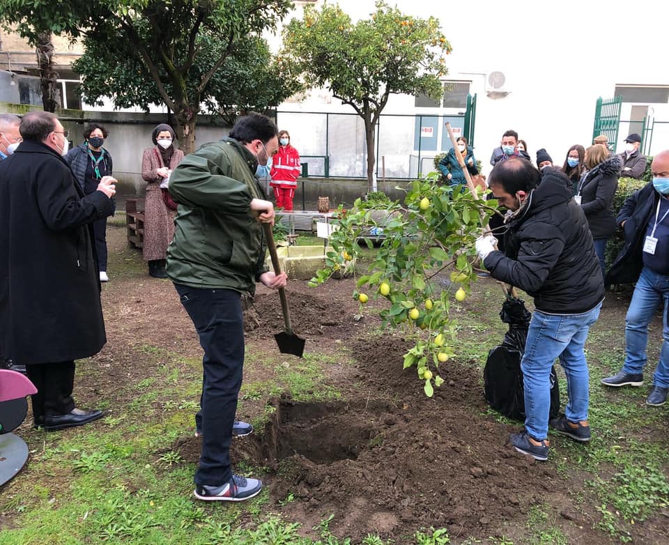 Ad Aversa il primo Albero della Solidarietà