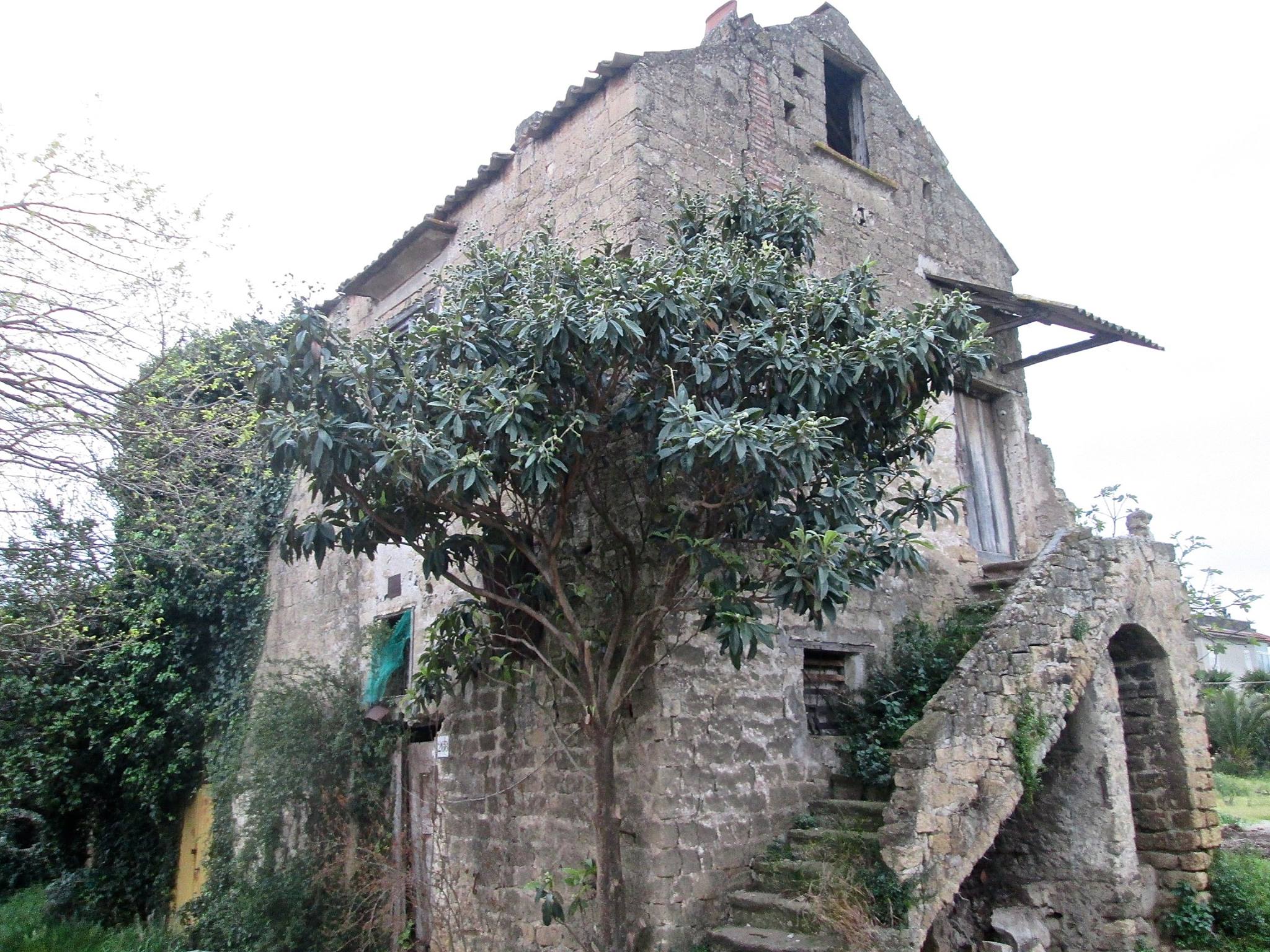 Masseria Torre Frannunzio