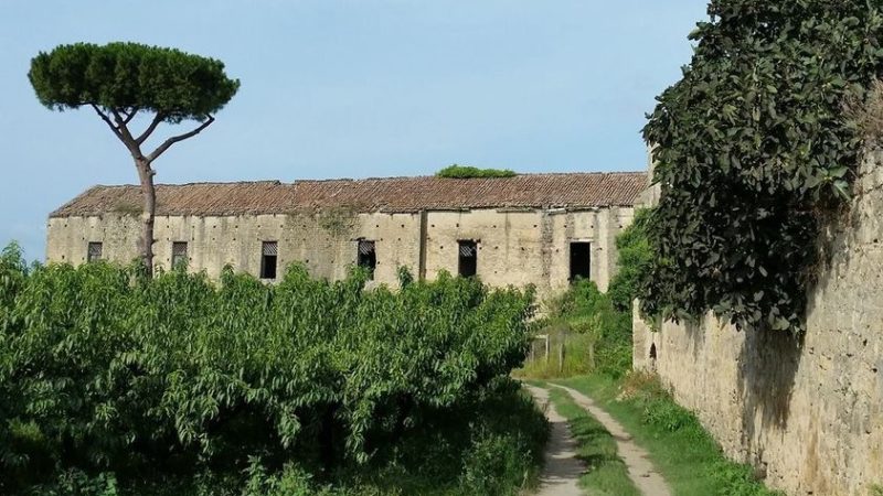 Le origini antiche della masseria al borgo di Casacelle