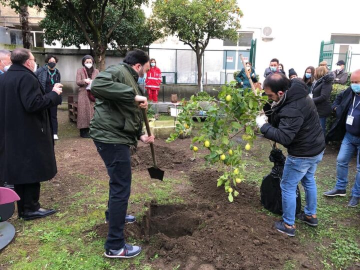 Ad Aversa il primo Albero della Solidarietà