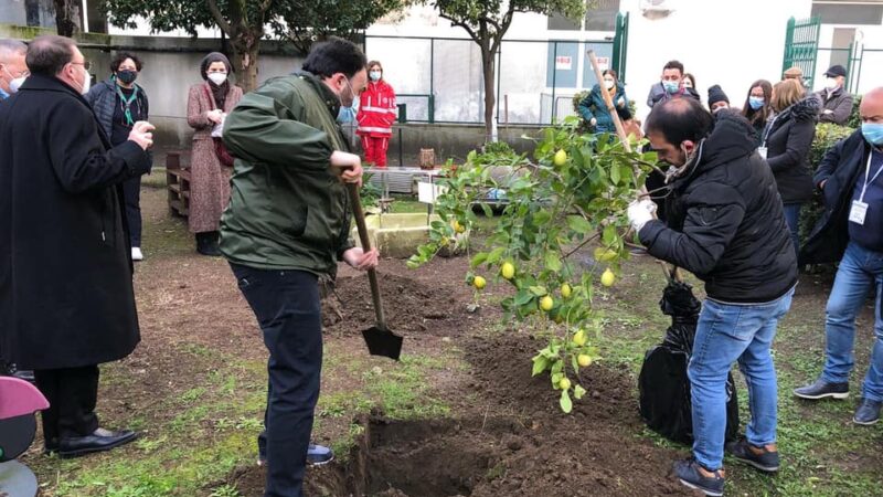 Ad Aversa il primo Albero della Solidarietà