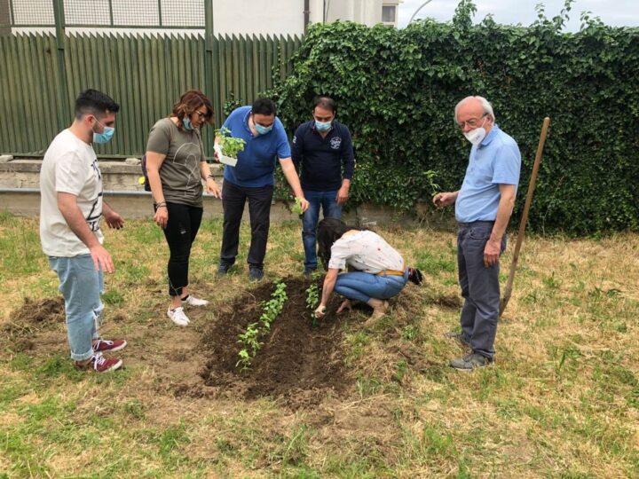 Aversa: al III Circolo Didattico nasce l’orto biologico